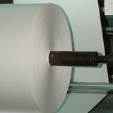 Roll Matte Paper