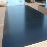 Brown/Balck Film Faced Plywood