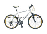 Steel Mountain Bicycle for Hot Sale MTB-035