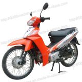 Motorcycle (HL110CUB-12A)