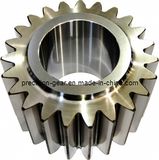 Spur Gear, Straight Teeth Gear Wheel