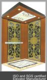 High Quality Elevators with Advanced Lifts Parts (DAIS220)