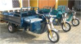 Cargo Tricycle (AG-A20)