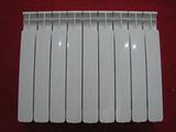 Aluminum Radiator (XF-005)