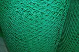 PVC Coated Hexagonal Wire Mesh