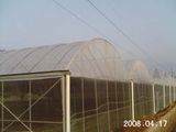 30 Mesh Anti Insect Netting