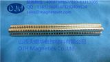 Rare-Earth Magnet