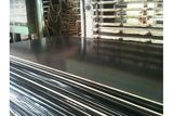 Hardwood Core Film Faced Plywood Marine Plywood Construction Plywood