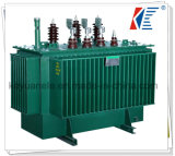 High Overload Oil-Immersed Transformer