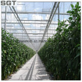 4mm Ultra Clear Tempered Glass for Green House