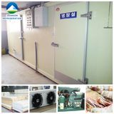 Seafood Cold Storage