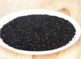 Organic Black Sesame in China