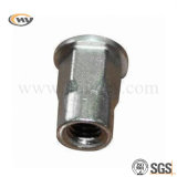 Stainless Steel Fastener for Rivet (HY-J-C-0167)