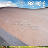Bintangor Plywood/Commercial Plywood/Furniture Plywood