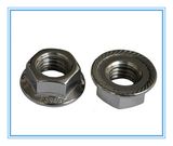 Hexagon Head Flange Nuts (DIN6923)