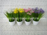 Artificial Plastic Potted Flower (XD15-323)
