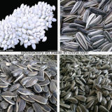 2015 Good Quality Dry Nuts Sunflower Seeds