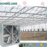 China Windows Mounted Exhaust Cooling Fan for Vegetable Greenhouses