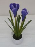 Artificial Crocus with Melamine Pot