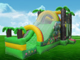 Inflatable Water Slide with Pool (SL-014)