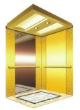 Luxury Passenger Elevator Is Easy to Install (DAIS-K226)