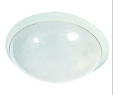 3W LED Ceiling Light with CE and RoHS