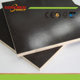 High Quality Concrete Formwork (film faced plywood) Many Models