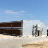 Economical Steel Structure Construction for Poultry House
