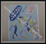 Promotion Cleaning Cloth-62