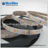 DC24V 5630 SMD LED Cct Color Temperature Adjustable and Dimmable LED Strip Light