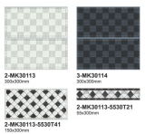 Ceramic Wall Tile / Ceramic Floor Tile (2-MK30113)