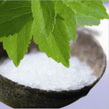 High Quality Stevia/Stevia/Sweetener/Sugar/Stevioside
