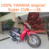 Hot Yma Spark 115I 110cc 125cc Motorcycle (KN110-16)