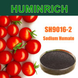 Huminrich Young Active Leonardite 60% Sodium Humate Fertilizer