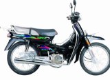 Motorcycle (Sl110-5)