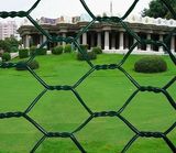 PVC Coated Hexagonal Wire Netting (HWM-09)