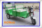 China Cargo Tricycle with DC Motor (LM-S052-IV)