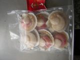 Scallop