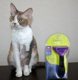 Pet Brush, Keep The Dogs Cats Clean