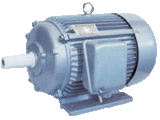Three-Phase Asynchronous Electric Motor (Y2 Series)