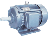 Three-Phase Asynchronous Electric Motor (Y2 Series)