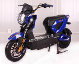 1000W Brushless Motor High Quality Electric Motorcycle (EM-012)