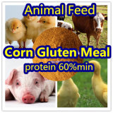 Corn Gluten for Animal Feed Protein 60%