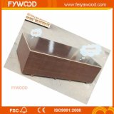Brown Color Film Faced Plywood for Construction Usage Outdoor