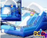 Backyard Creative Water Inflatable Slide