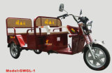 Electric Tricycle Gwgl-1