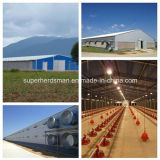 Poultry Farm Design and Construction with Steel Structure