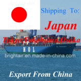 Cargo Shipping From China to Tokyo, Nagoya, Osaka, Yokohama