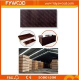 Xuzhou Feiya Wood Big Stock for 18mm Plywoood