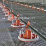 Automatic Poultry Feeder for Broiler